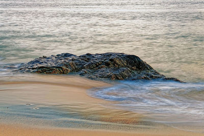 Sea shore at beach during sunset