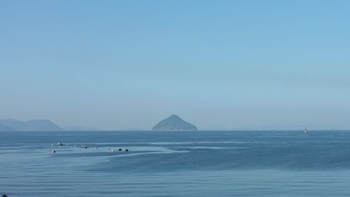 Sailboats sailing in sea against clear sky