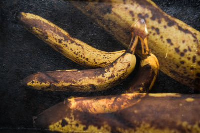 High angle view of bananas