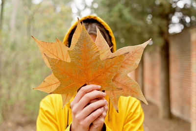 Cropped hand of woman holding autumn leaf