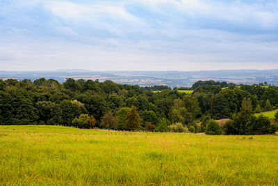 Scenic view of trees on field against sky