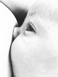 Close-up portrait of man