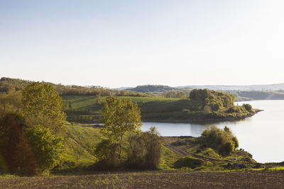 Scenic view of landscape against clear sky