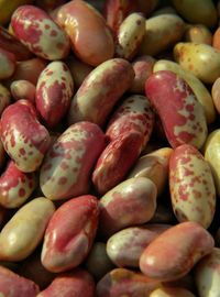 Full frame shot of fruits for sale at market stall