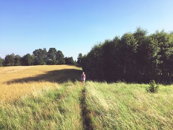 Man walking on golf course against clear sky