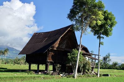 Traditional house of basemah