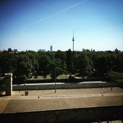 Road with trees in background