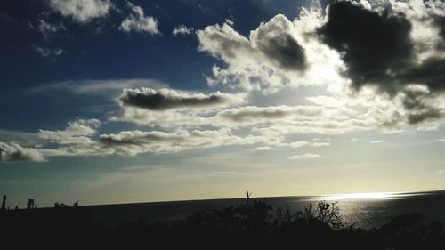 Low angle view of silhouette trees against sky