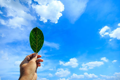 Low angle view of person hand against blue sky