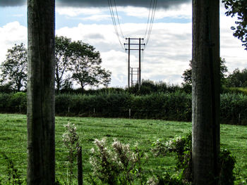 Trees on field against sky