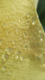 Close-up of bubbles in water