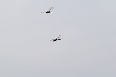 Low angle view of airplane flying against clear sky