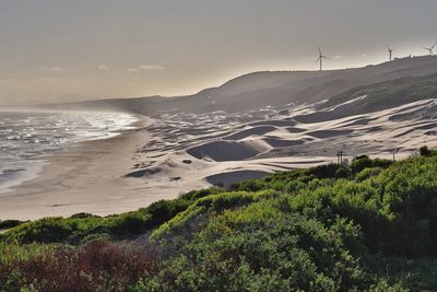Scenic view of beach against sky
