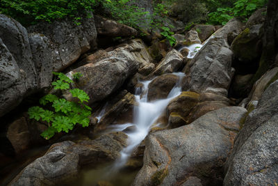 Stream flowing through rocks in forest