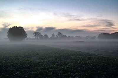 Scenic view of landscape against cloudy sky