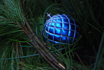 Close-up of human hand in grass