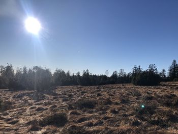 Scenic view of field against bright sun