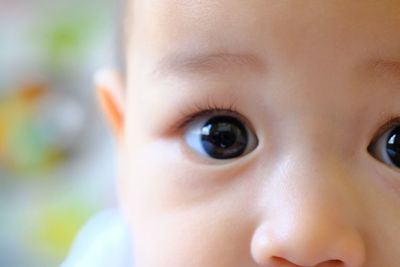 Close-up portrait of boy