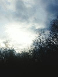 Low angle view of silhouette trees against sky