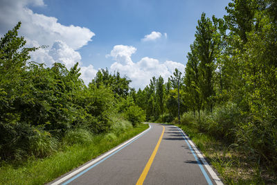 Road amidst trees against sky