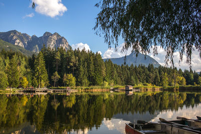 Scenic view of lake by trees against sky