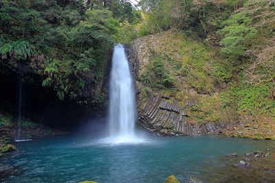 Scenic view of waterfall in forest