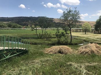 Scenic view of field against sky