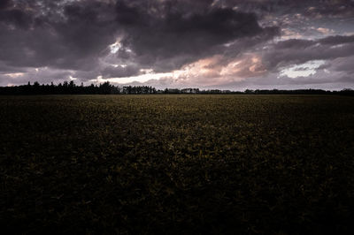 Scenic view of field against sky during sunset