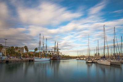 Sailboats in marina