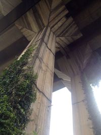 Low angle view of columns