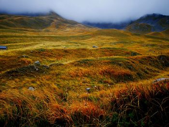 Scenic view of field against sky