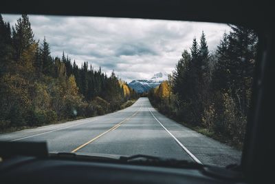 Road passing through forest