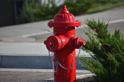 Red fire hydrant on road in city