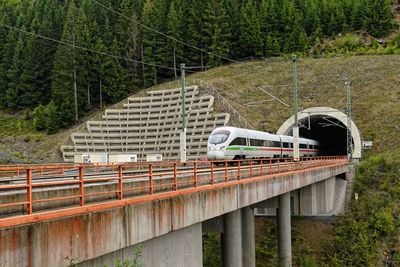 Bridge over river in forest