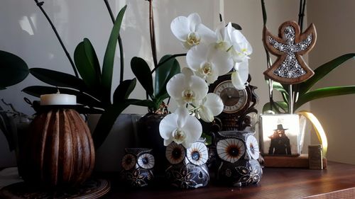 Close-up of white orchids in vase on table at home