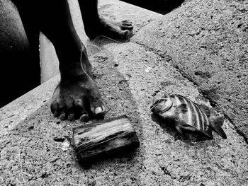 Man working at fish