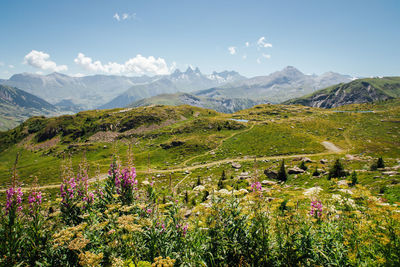 Scenic view of flowering plants on field against sky. landscape of the french alps