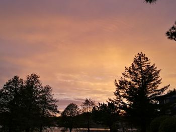 Silhouette trees against sky during sunset