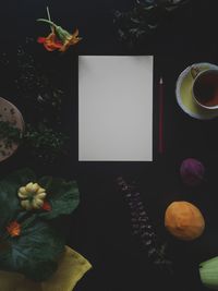 High angle view of flower on table