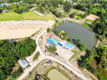 High angle view of river amidst trees