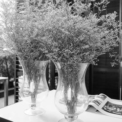 Close-up of drinking glasses on table