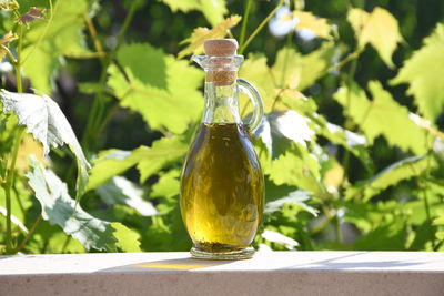 Close-up of drink on table