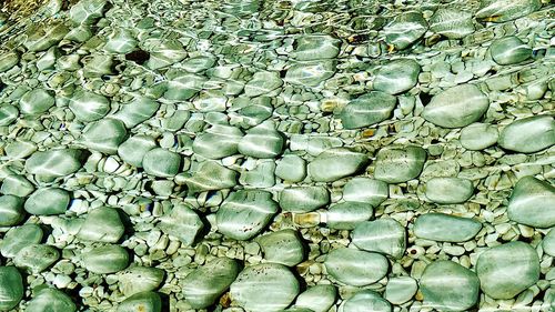 Full frame shot of pebbles on water