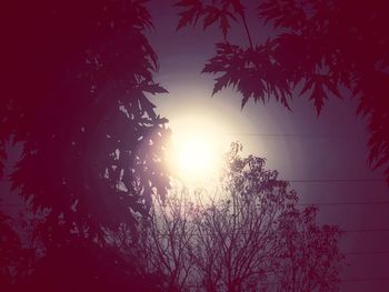 Low angle view of silhouette trees against sky at sunset