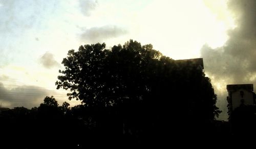 Silhouette trees against sky during sunset