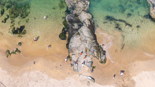 High angle view of rocks on beach