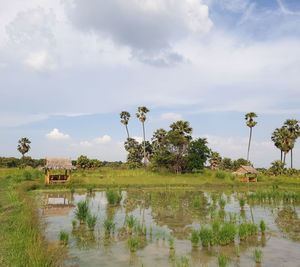 Scenic view of lake against sky