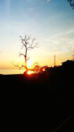 Silhouette of trees at sunset