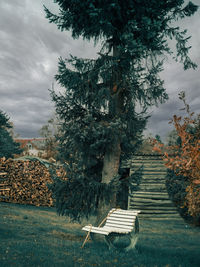 Empty bench in park against sky