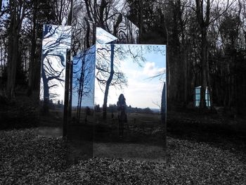 Bare trees against sky